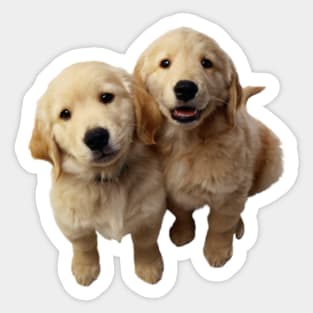 Golden Retriever Sticker Sticker